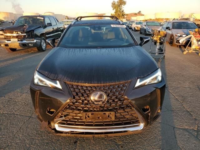 2020 Lexus UX 250H