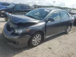 Toyota salvage cars for sale: 2010 Toyota Corolla Base