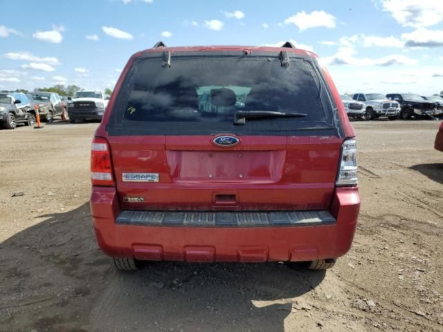 2009 Ford Escape XLT