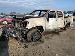 Salvage vehicles for parts for sale at auction: 2023 Toyota Tacoma Double Cab