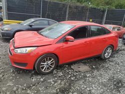 Ford salvage cars for sale: 2016 Ford Focus SE