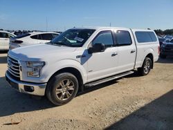 Salvage cars for sale at Arcadia, FL auction: 2016 Ford F150 Supercrew