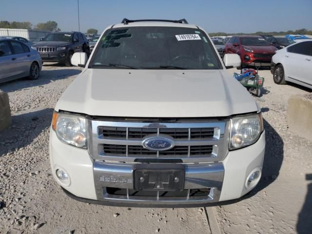 2010 Ford Escape Limited