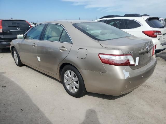 2008 Toyota Camry Hybrid