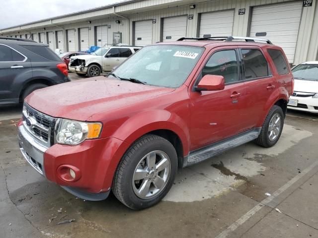 2012 Ford Escape Limited