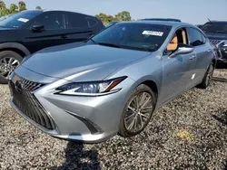 Flood-damaged cars for sale at auction: 2023 Lexus ES 350 Base