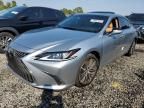 2023 Lexus ES 350 Base