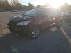 Salvage cars for sale at auction: 2013 Ford Escape SE