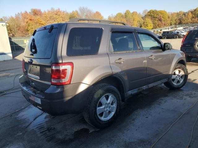 2011 Ford Escape XLT