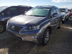 Salvage cars for sale at Arcadia, FL auction: 2013 Lexus RX 350