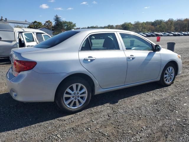 2010 Toyota Corolla Base