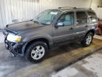 2006 Ford Escape XLT