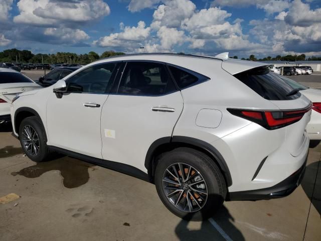 2024 Lexus NX 250 Premium