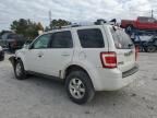 2009 Ford Escape Limited