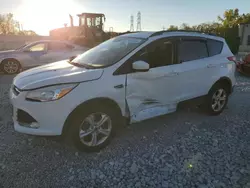 Salvage cars for sale at Barberton, OH auction: 2015 Ford Escape SE