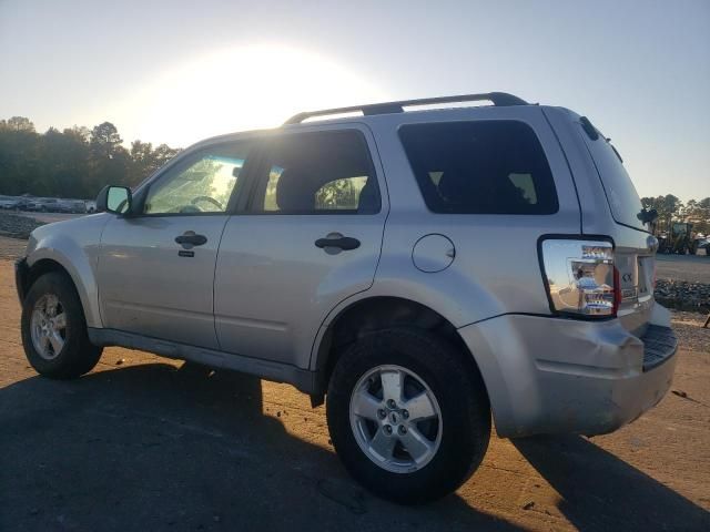 2009 Ford Escape XLT