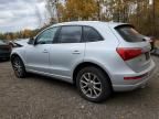 2010 Audi Q5 Premium