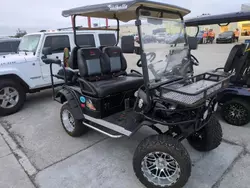 2019 Golf Cart en venta en Riverview, FL