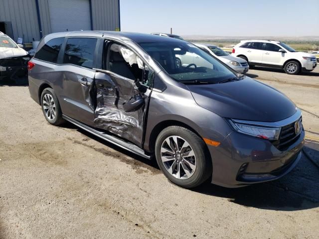 2023 Honda Odyssey EXL