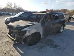 Toyota salvage cars for sale: 2010 Toyota Highlander