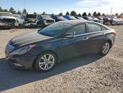 Salvage cars for sale at Bismarck, ND auction: 2012 Hyundai Sonata SE