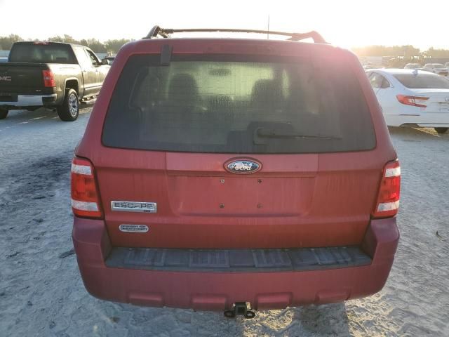 2008 Ford Escape XLT