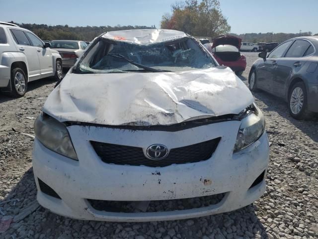 2010 Toyota Corolla Base