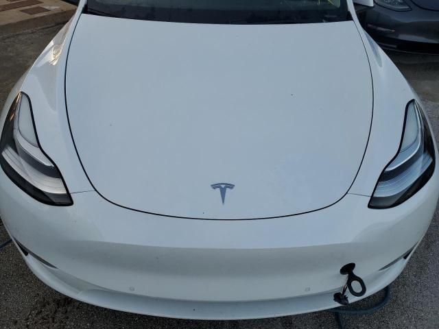 2020 Tesla Model Y