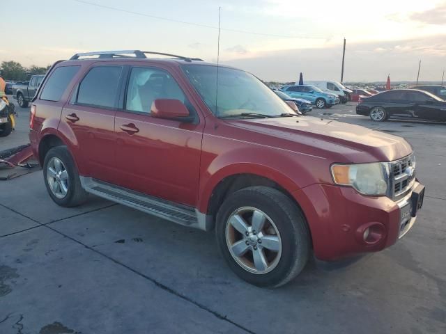 2011 Ford Escape Limited