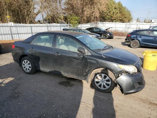 2009 Toyota Corolla Base