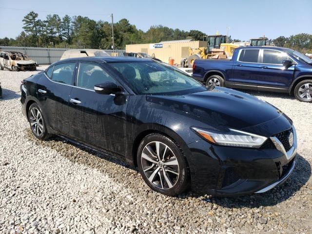 2021 Nissan Maxima SV