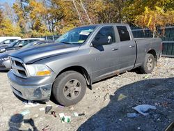 Dodge salvage cars for sale: 2010 Dodge RAM 1500