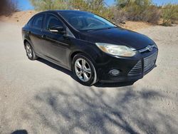 Salvage cars for sale at Phoenix, AZ auction: 2013 Ford Focus SE