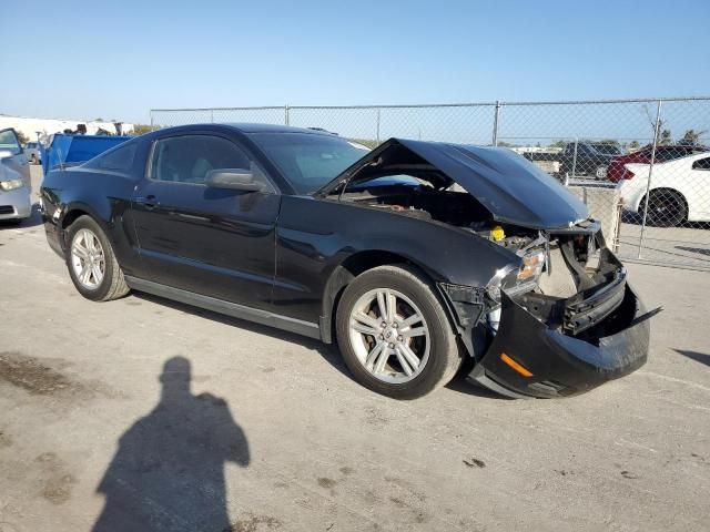 2010 Ford Mustang