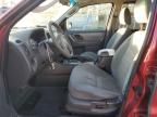 2007 Ford Escape XLT