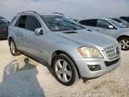 2010 Mercedes-Benz ML 350