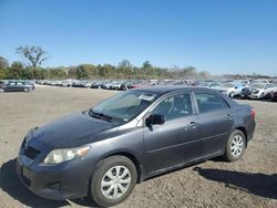 Toyota Vehiculos salvage en venta: 2009 Toyota Corolla Base