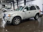 2008 Ford Escape Limited