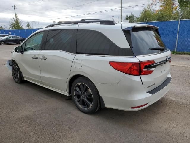 2023 Honda Odyssey Touring