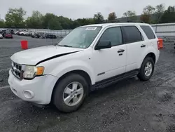 Ford salvage cars for sale: 2008 Ford Escape XLT