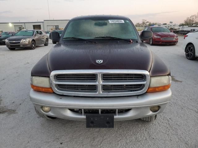 2004 Dodge Dakota Quad SLT