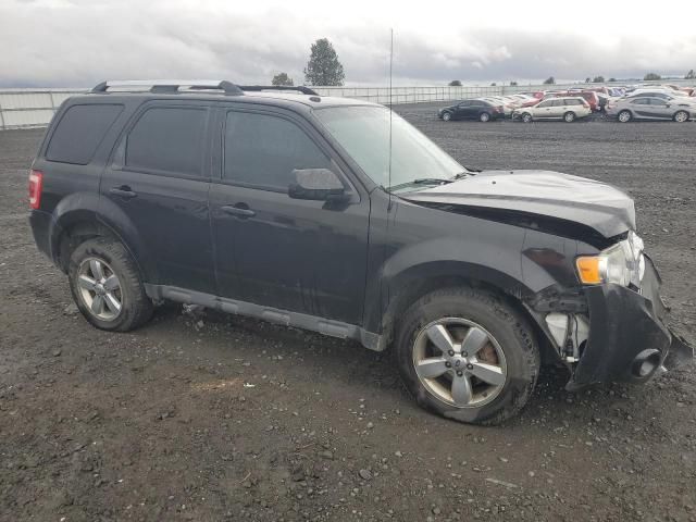 2011 Ford Escape Limited