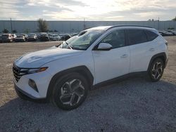 Salvage cars for sale at Apopka, FL auction: 2024 Hyundai Tucson SEL