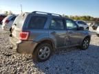 2010 Ford Escape Limited