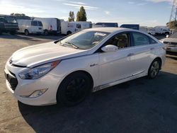 Hyundai Vehiculos salvage en venta: 2013 Hyundai Sonata Hybrid