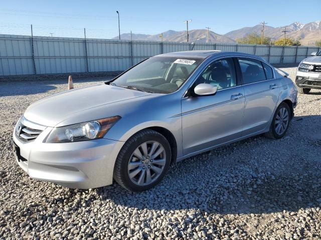 2011 Honda Accord EXL