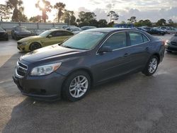 Salvage cars for sale at Fort Pierce, FL auction: 2013 Chevrolet Malibu 1LT