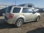 2010 Ford Escape Limited