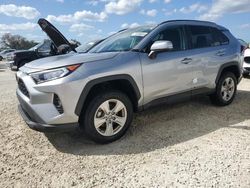 Salvage cars for sale at Arcadia, FL auction: 2021 Toyota Rav4 XLE