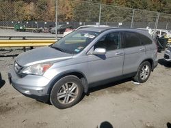 Salvage cars for sale at Waldorf, MD auction: 2010 Honda CR-V EXL